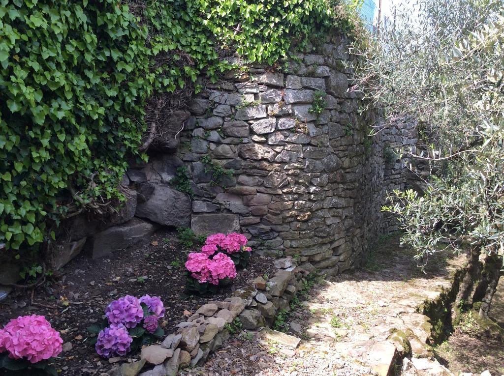 Casa Vacanze Ada فيسولي المظهر الخارجي الصورة